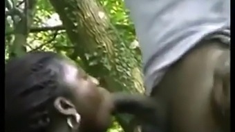 Black Ebony Bombshell Takes On Anal Challenge